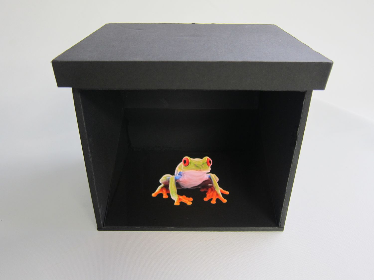 浮遊画像鑑賞BOX